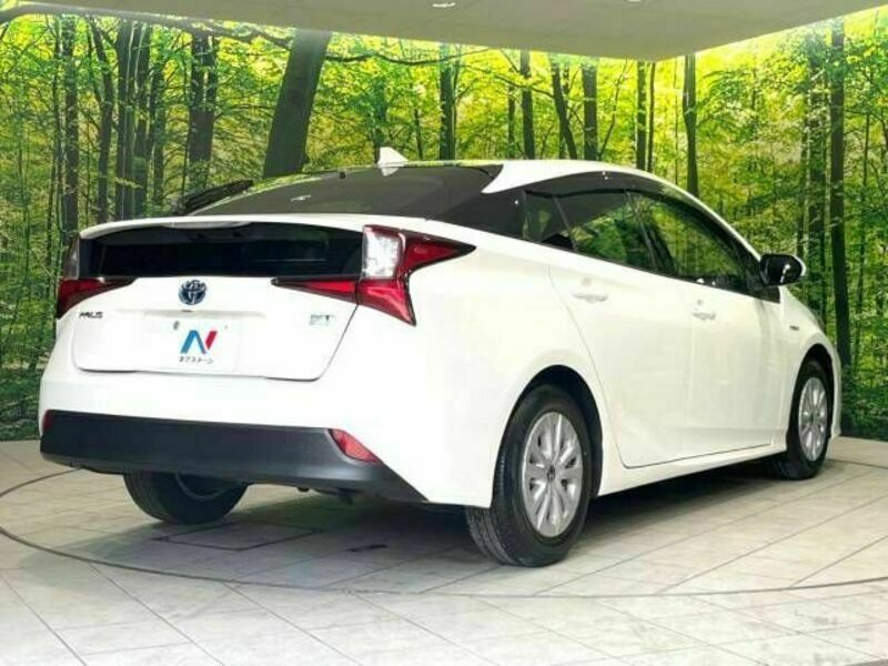 PRIUS-17