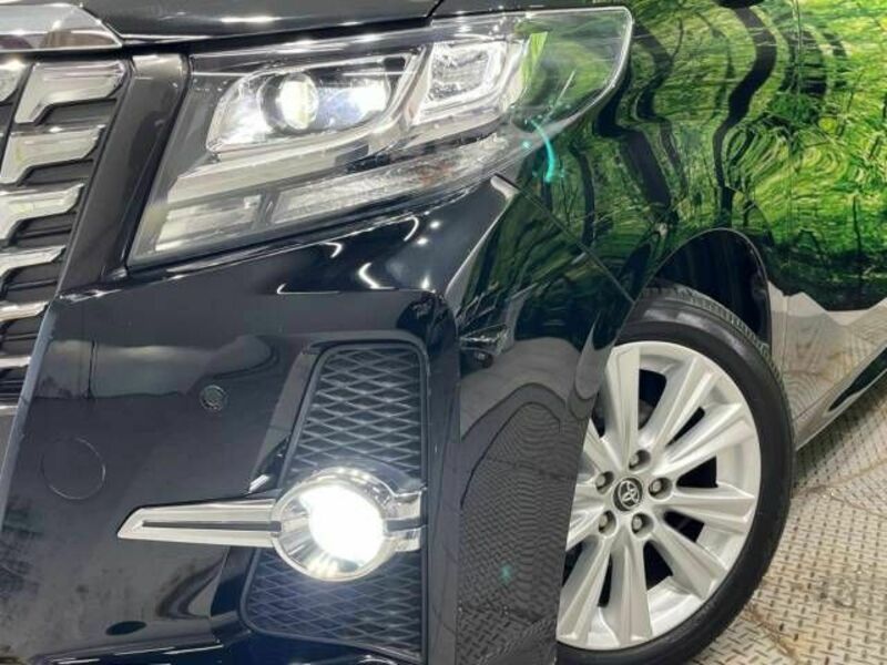 ALPHARD-13