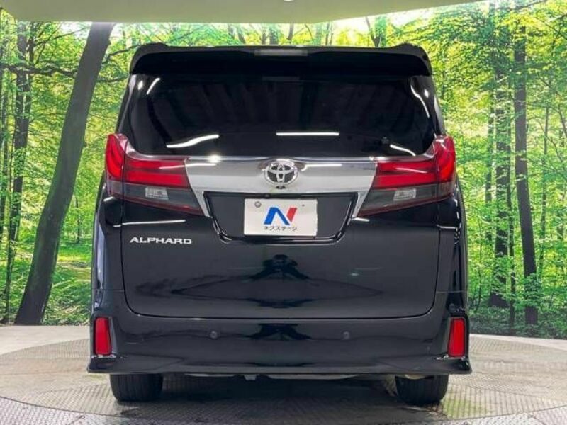 ALPHARD-16