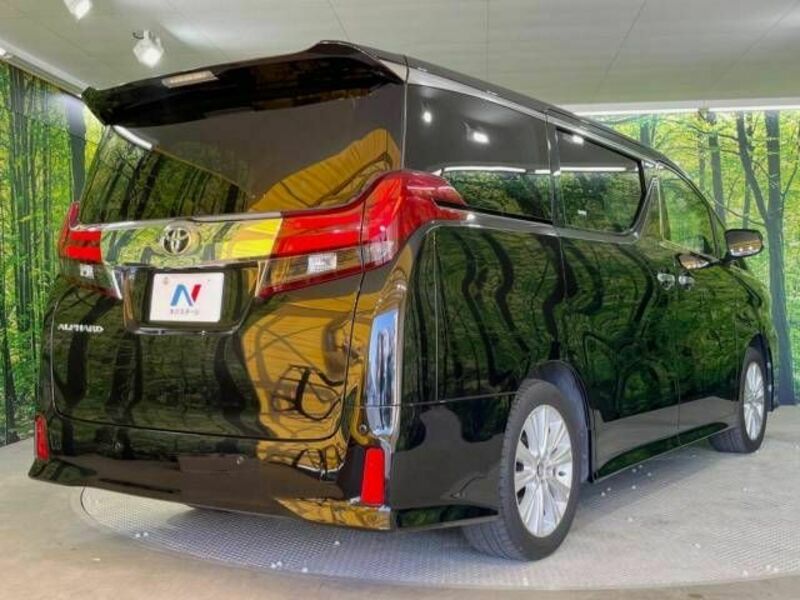 ALPHARD-18