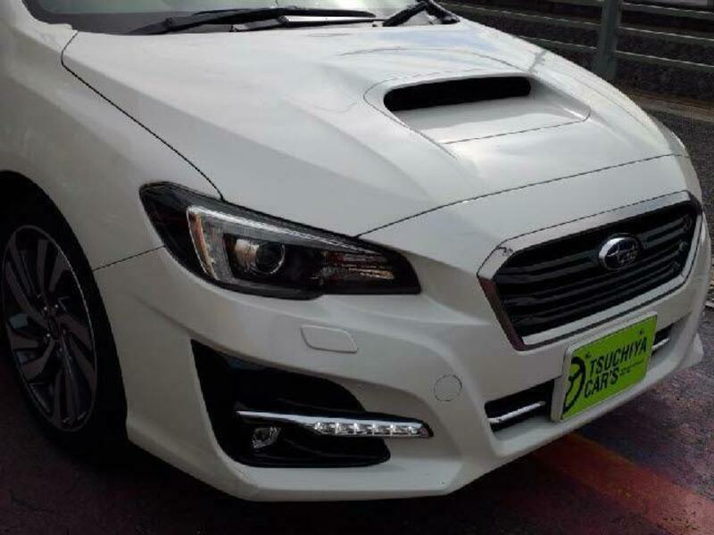 LEVORG-9