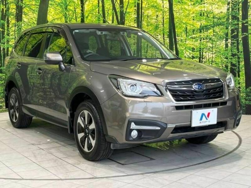 FORESTER-17