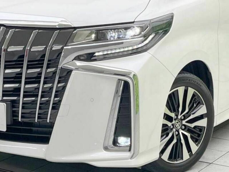 ALPHARD-12