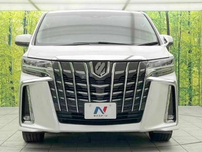 ALPHARD-14