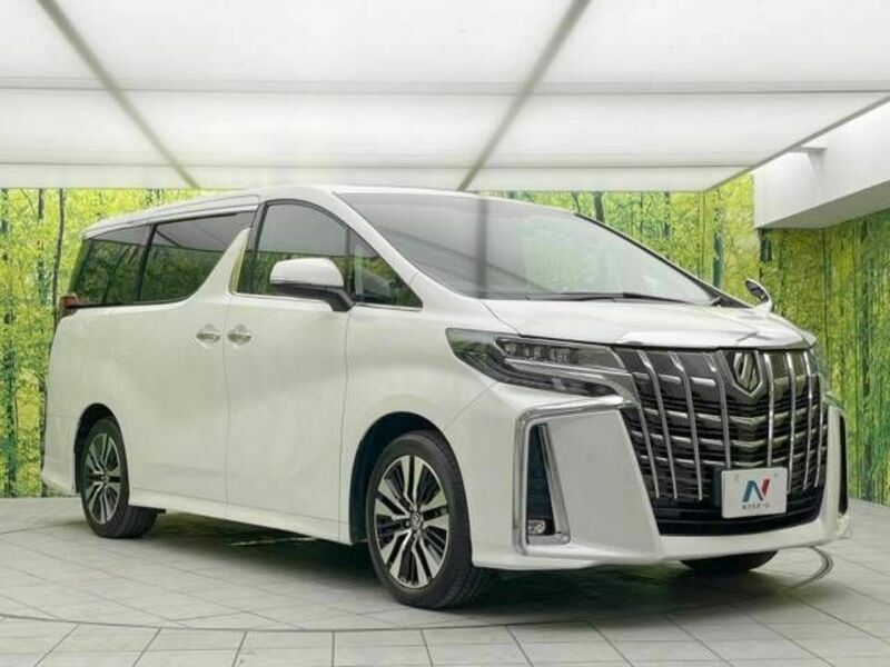 ALPHARD-16