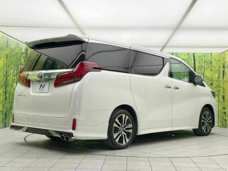 ALPHARD-17