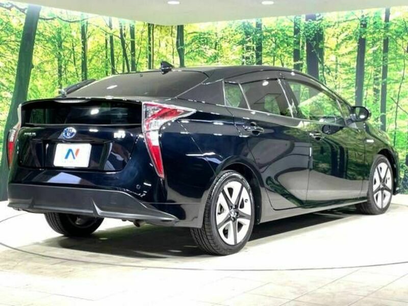 PRIUS-17