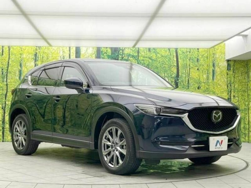 CX-5-16