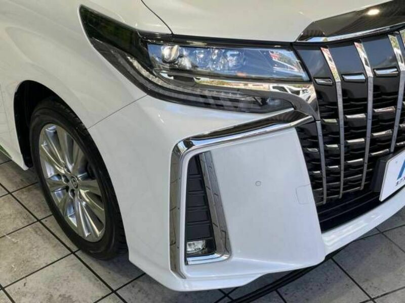 ALPHARD-13