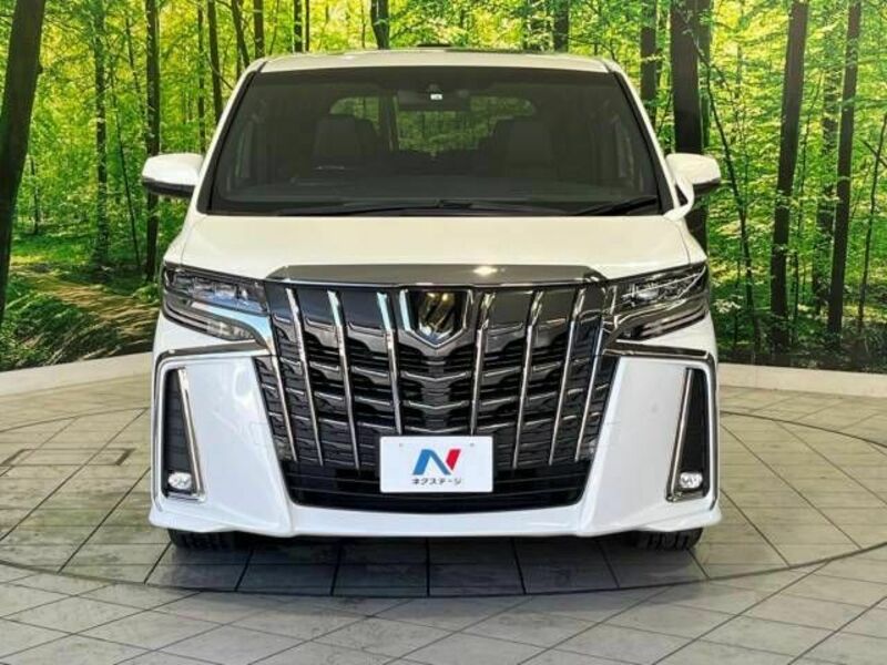 ALPHARD-15