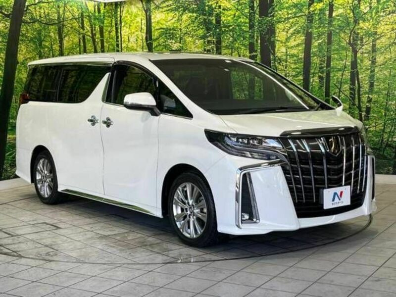 ALPHARD-17