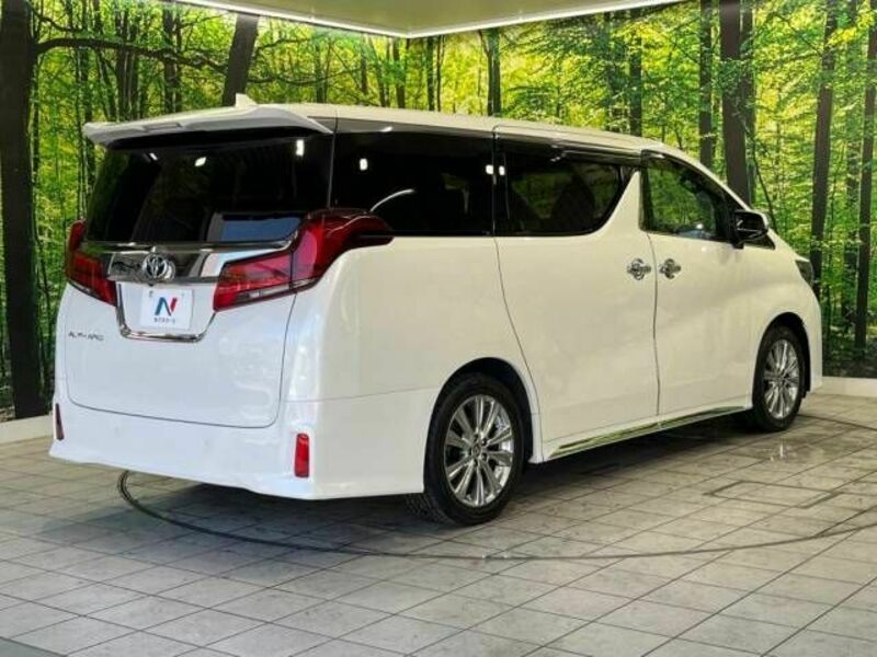 ALPHARD-18