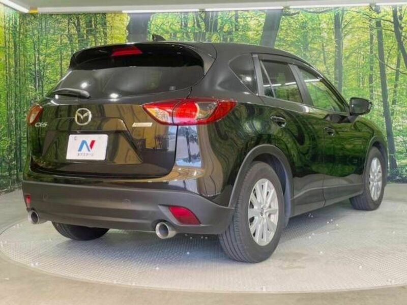 CX-5-17