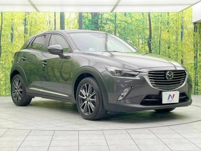 CX-3-16