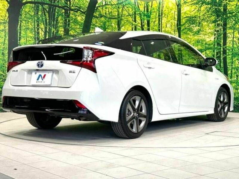 PRIUS-17