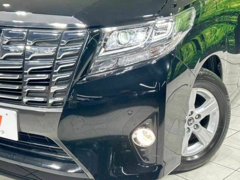 ALPHARD-13