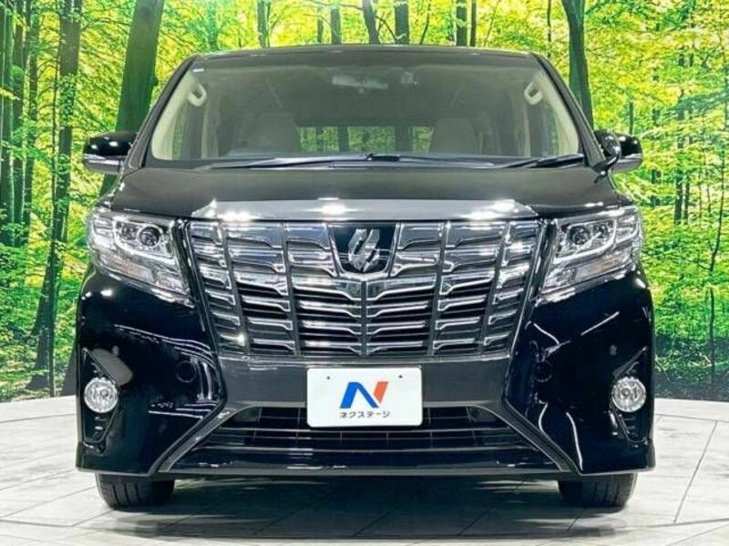 ALPHARD-15