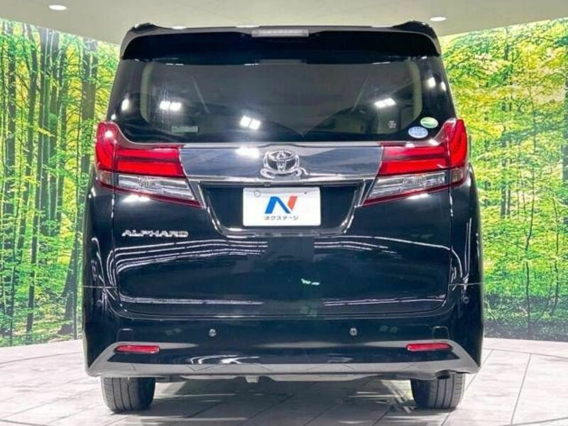 ALPHARD-16