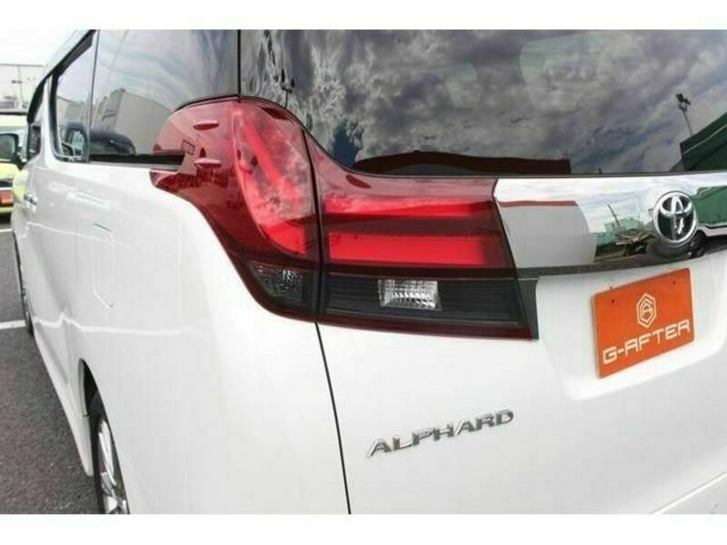 ALPHARD-12