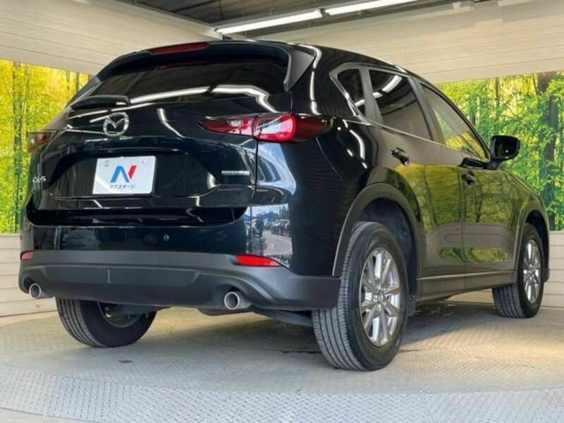 CX-5-17