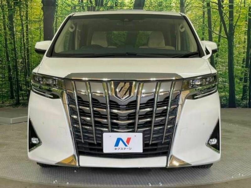 ALPHARD-16