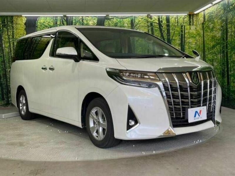 ALPHARD-17