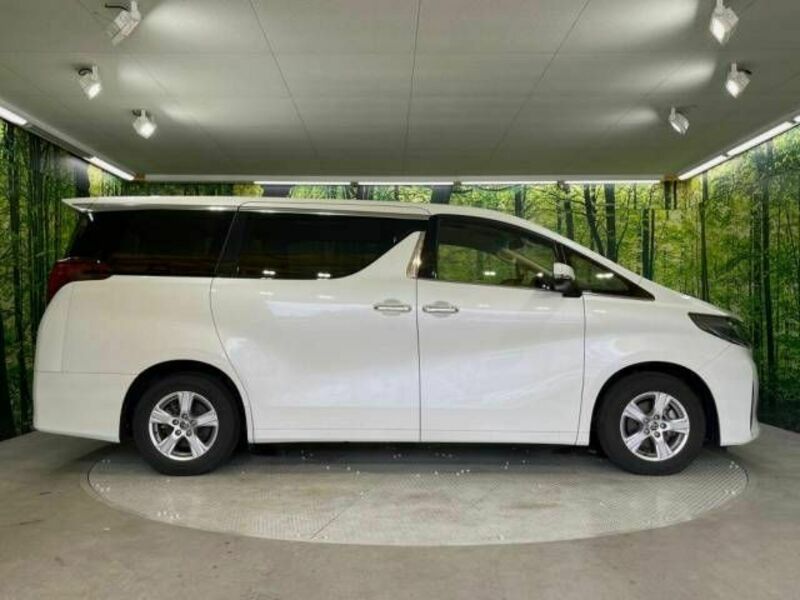 ALPHARD-18