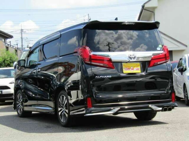 ALPHARD-13