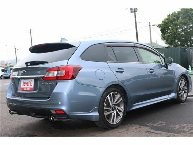 LEVORG-1