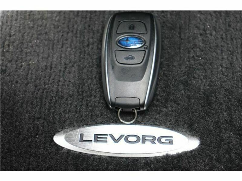 LEVORG-37