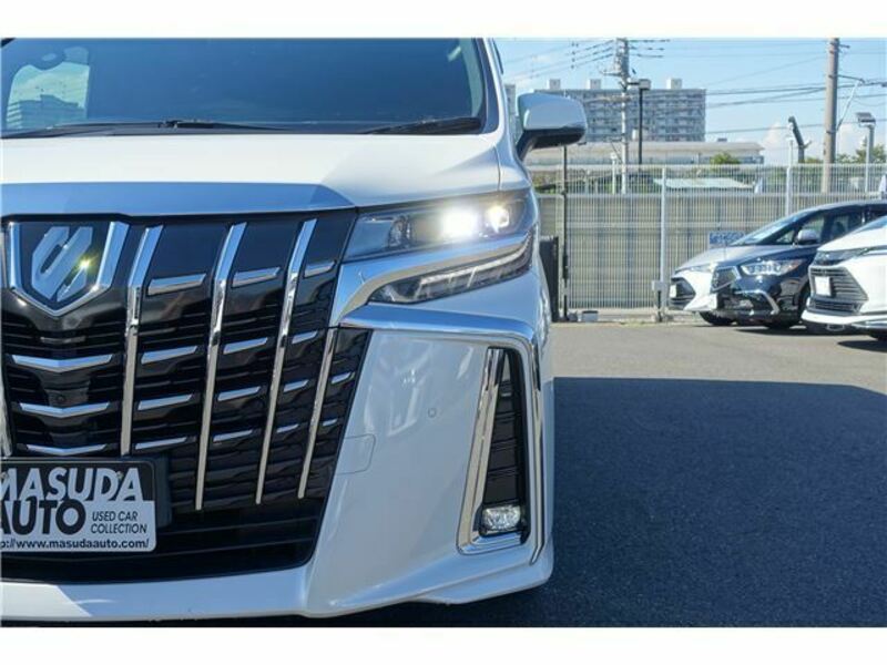 ALPHARD-31