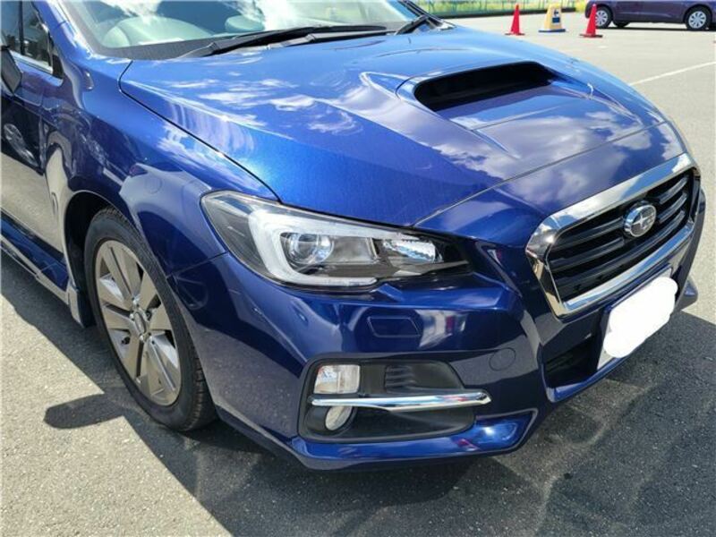 LEVORG-3