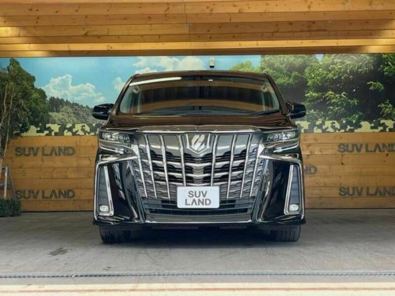 ALPHARD-15