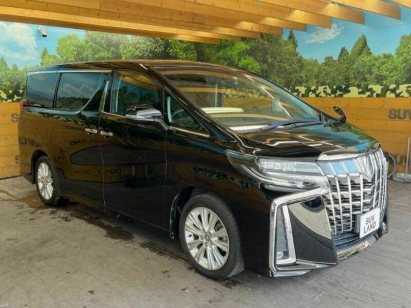 ALPHARD-17