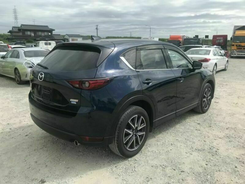 CX-5-4