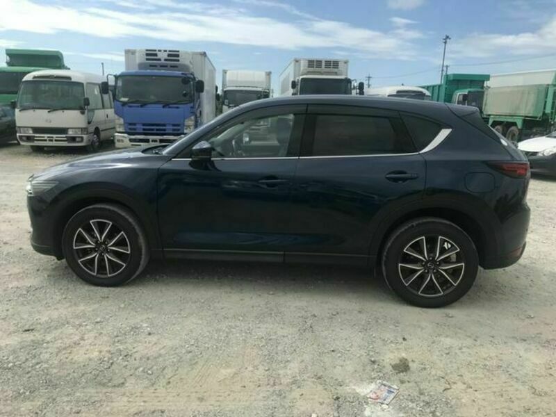 CX-5-6