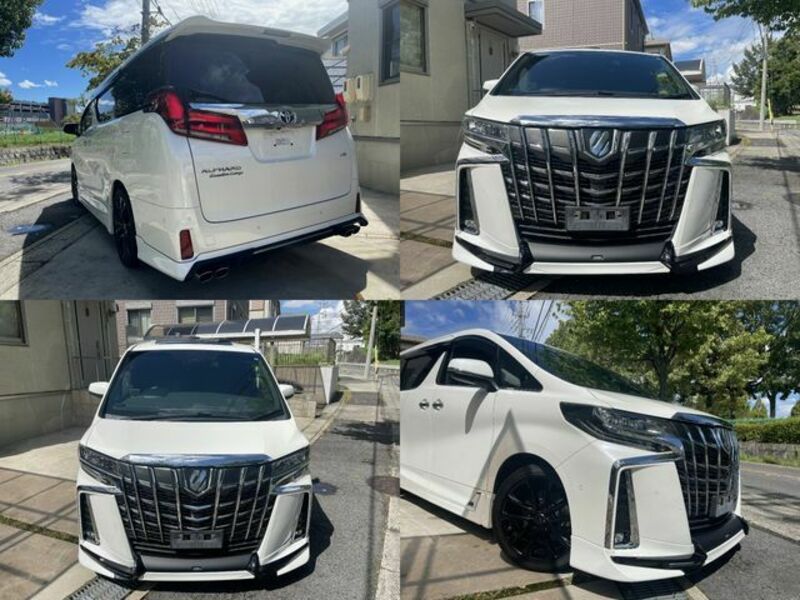 ALPHARD-2