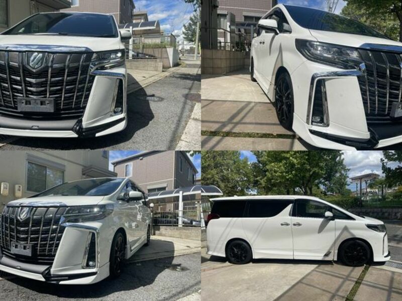 ALPHARD-6