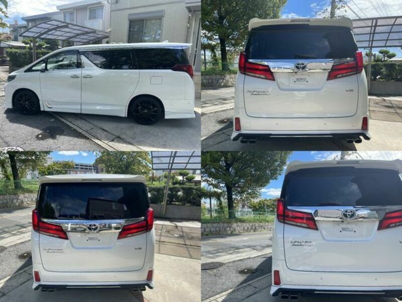 ALPHARD-10