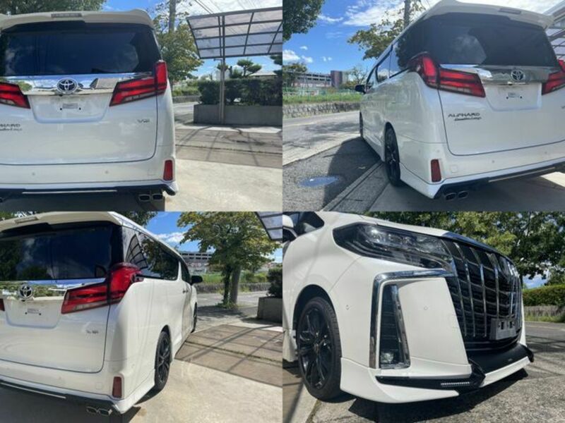 ALPHARD-13