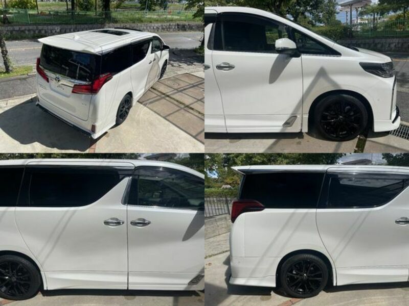 ALPHARD-17