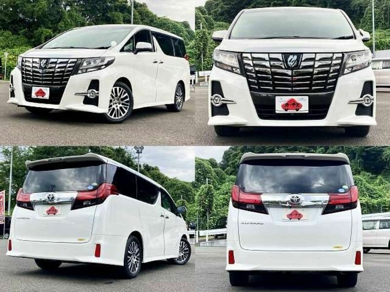 ALPHARD-8