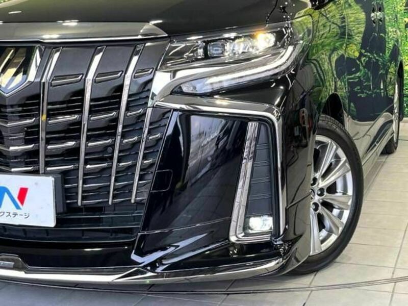 ALPHARD-13