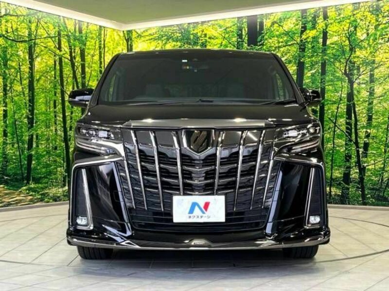 ALPHARD-15