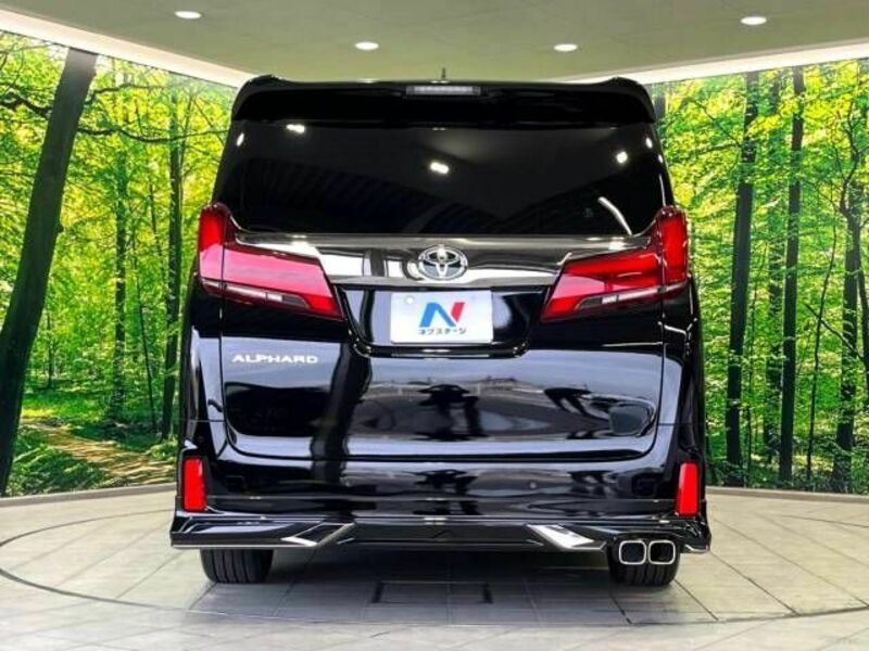 ALPHARD-16