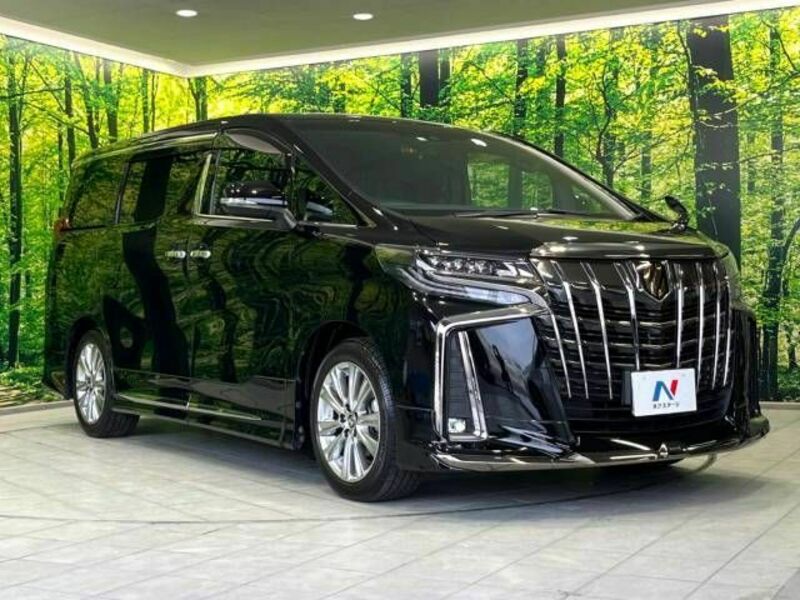 ALPHARD-17