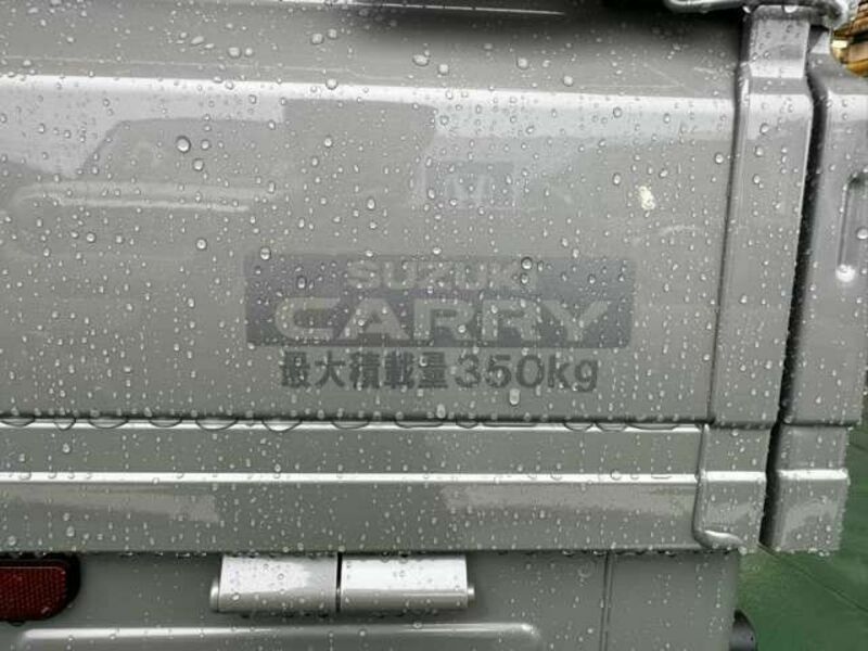 CARRY TRUCK-8