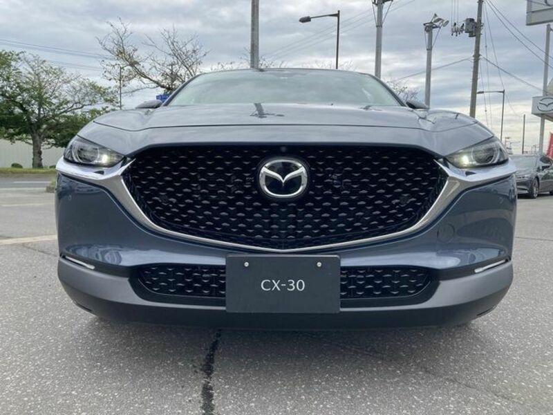 CX-30-1