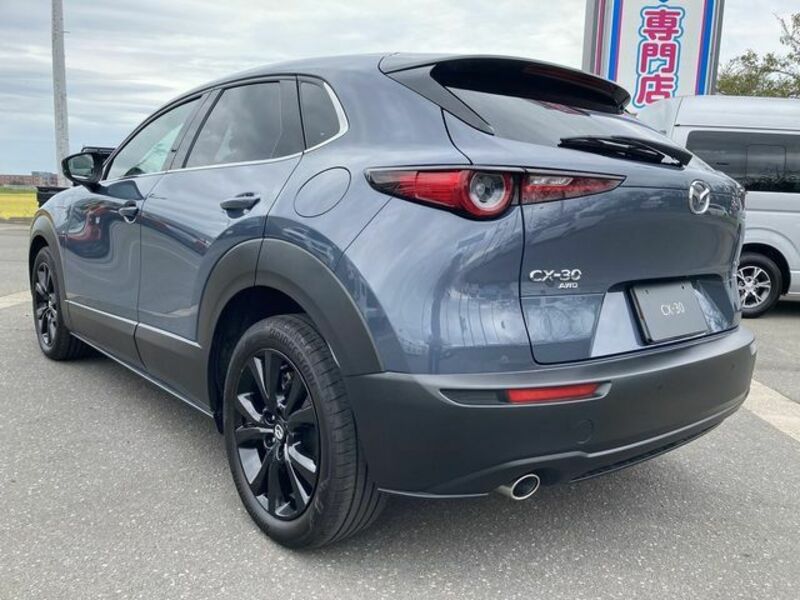 CX-30-4