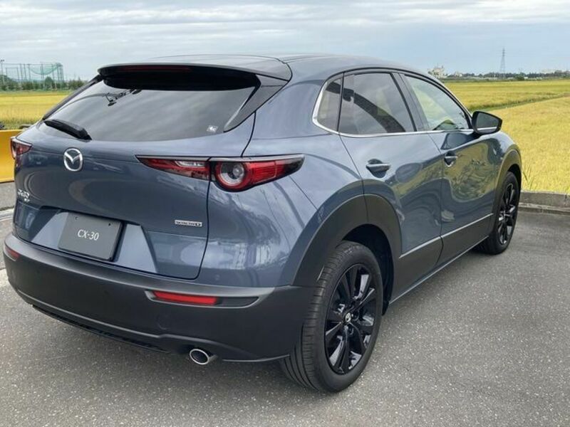 CX-30-6